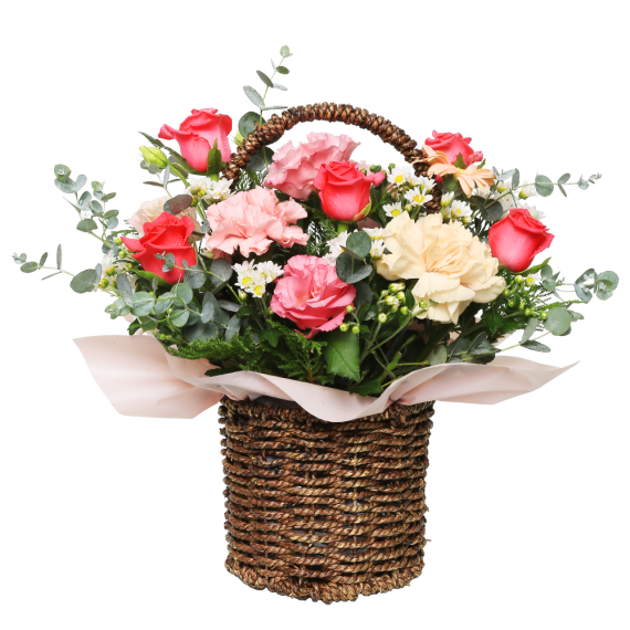 960ade68ab05b7e113c6c410ba34c4ee.png
