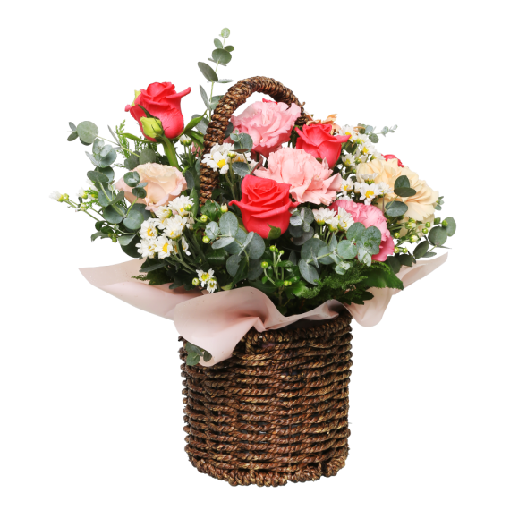 95459d948426c5018171cca8f8dbc5fa.png